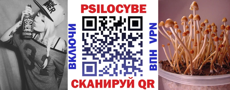Галлюциногенные грибы ЛСД  закладка  Пучеж 